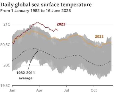 Graph showing global sea surface temperature